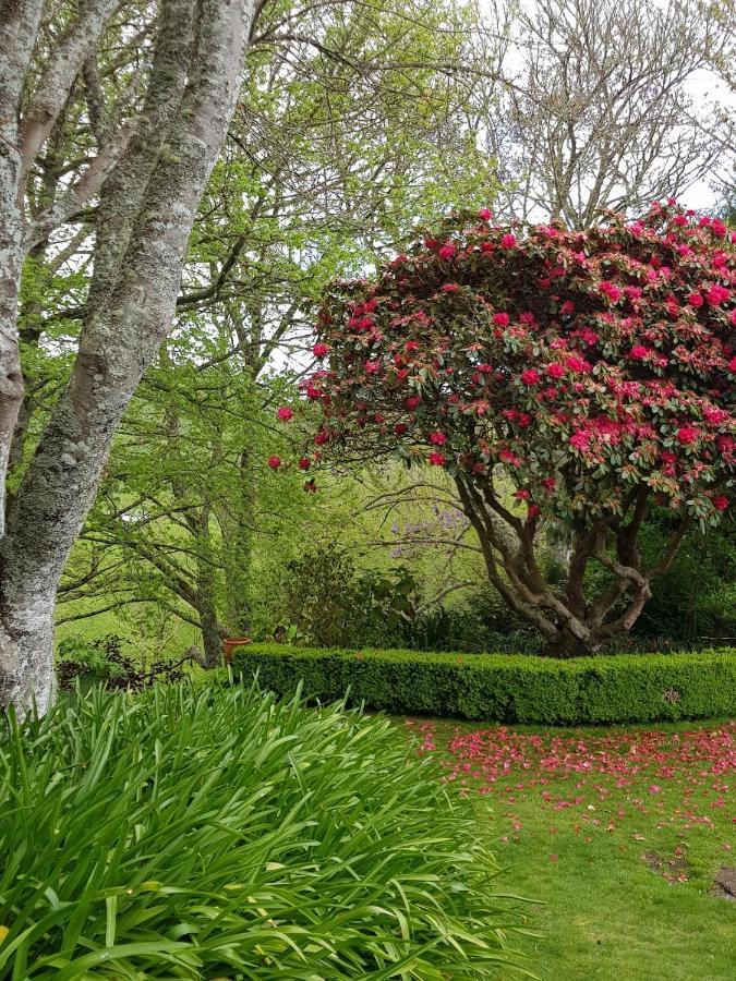 Omaka Lodge Taumarunui Εξωτερικό φωτογραφία