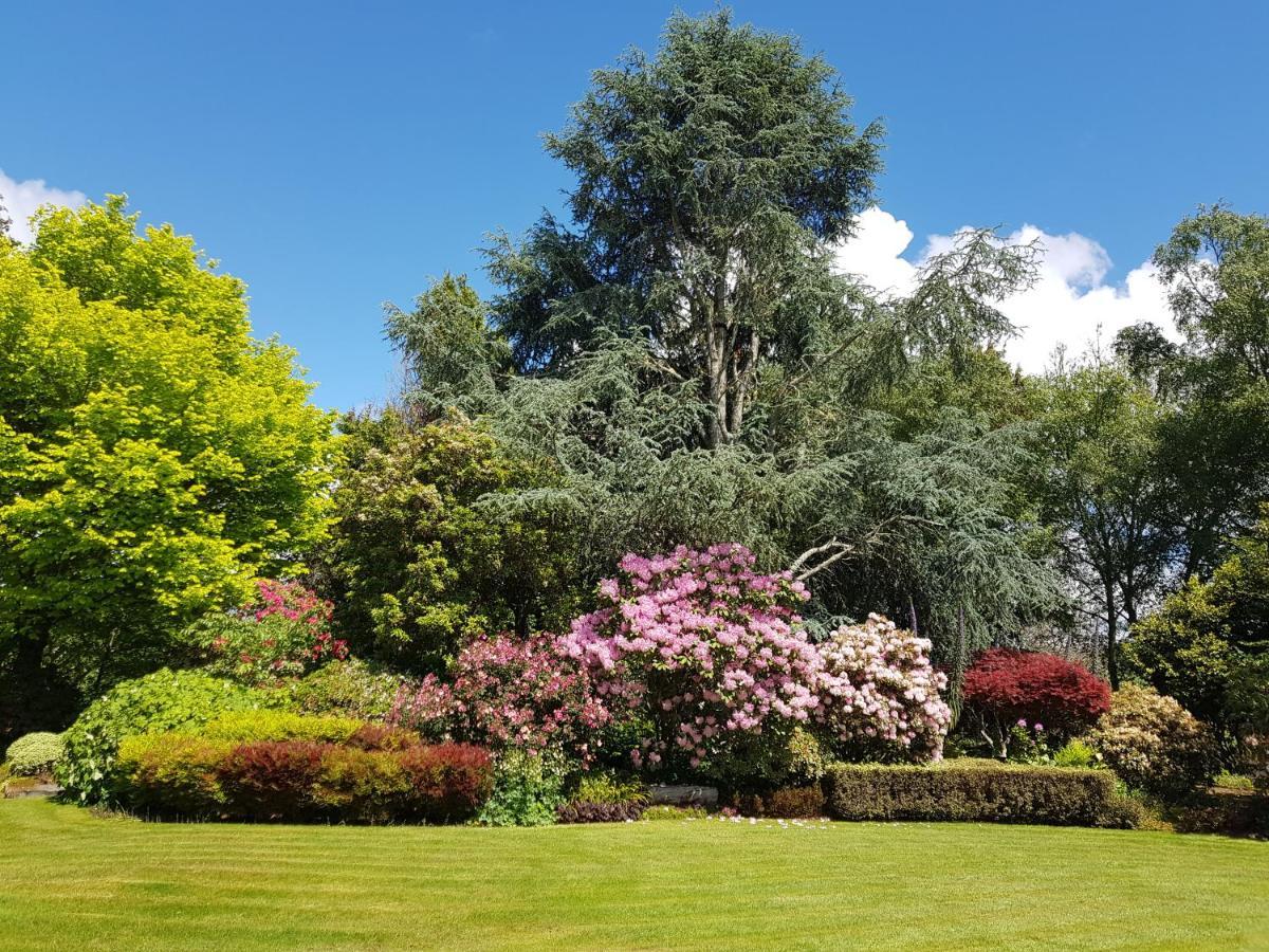 Omaka Lodge Taumarunui Εξωτερικό φωτογραφία